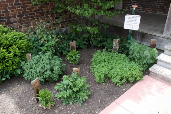 Bowen Campbell House Garden