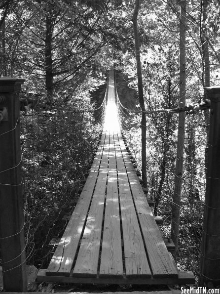 Fall Creek Falls swinging bridge