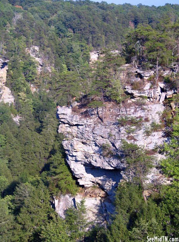 Fall Creek Falls Eagle's Nest