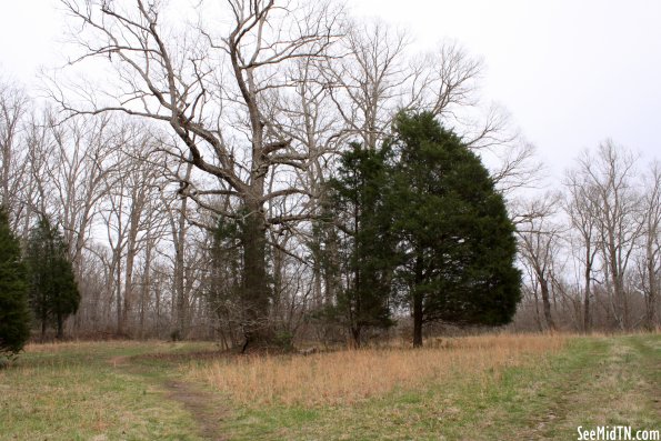 Old Stone Fort nature trail