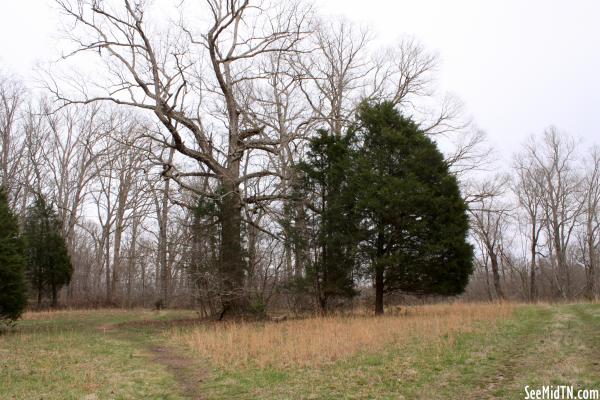 Old Stone Fort nature trail