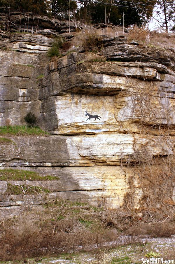 The Liberty Mule (and the Bluff that contains it.)