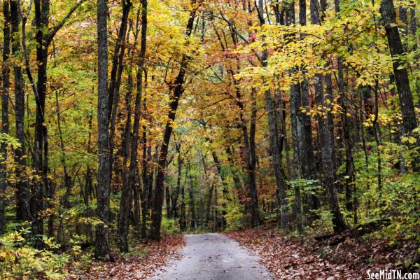 Fall Drive in the Tennessee Mountains