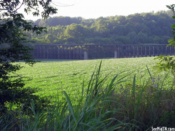 Old train trestle