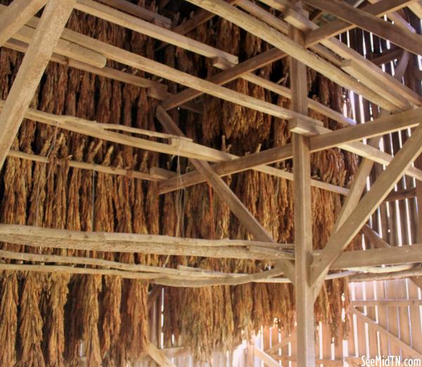 Tobacco Barn inside