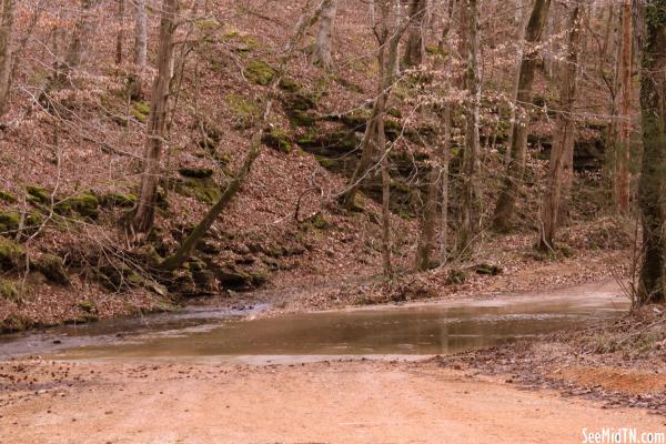 Water crosses the dirt road near Trace Creek Falls