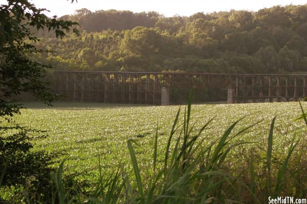 Railroad Trestle over the Duck River