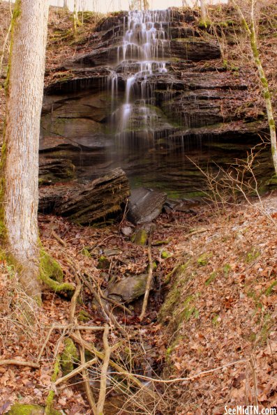 Fall Hollow photo #6 Fall Hollow photo #6