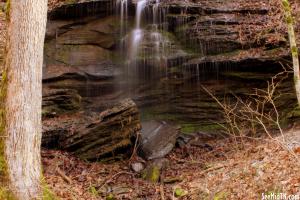 Featured Lewis Co.