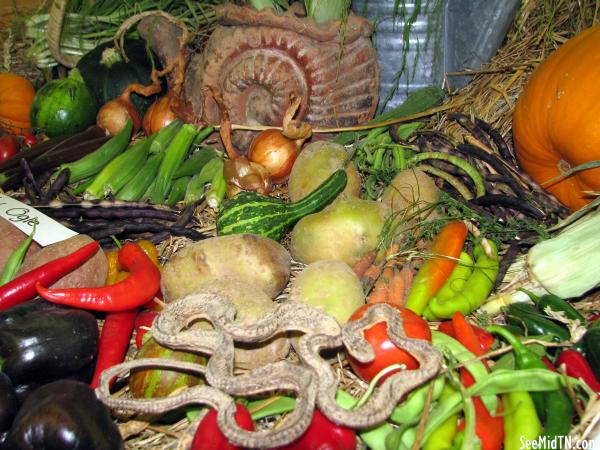 Cornucopia display