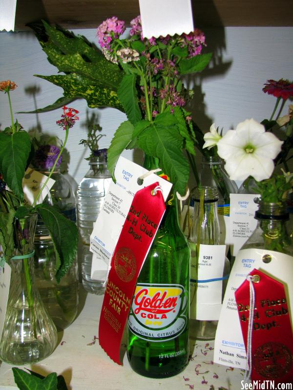 Flower in a Sundrop Bottle