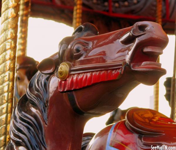 Carousel  Horse