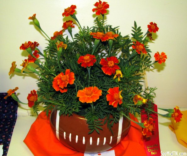 Football planter