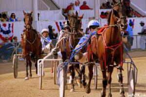 2010 Harness Racing