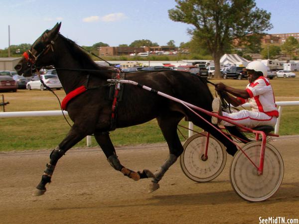 2010 Lincoln Co. Fair Harness Racing