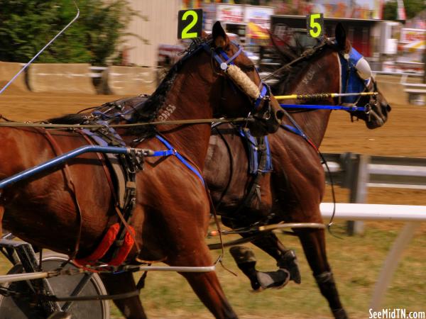 2010 Lincoln Co. Fair Harness Racing