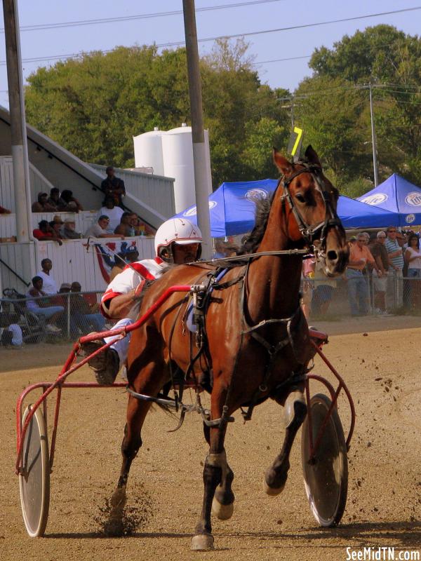 2010 Lincoln Co. Fair Harness Racing