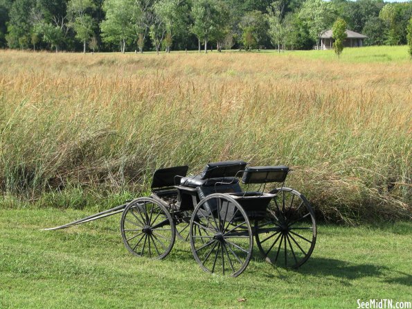 Henry Horton State Park: Buggy