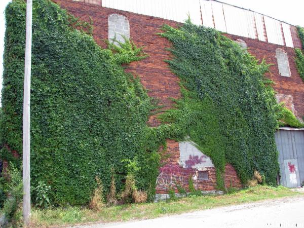 Old Industrial Building in Columbia