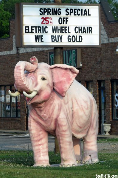 Pink Elephant