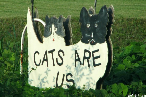 Cats Are Us