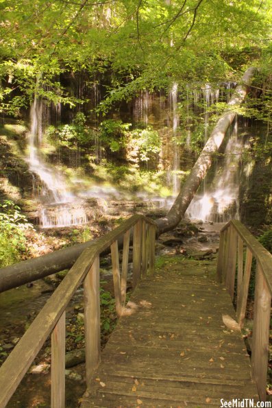 Ledford Mill Falls