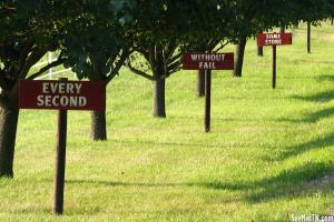 Featured Robertson Co.