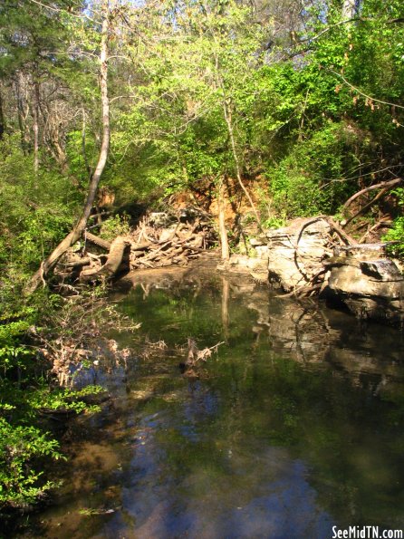 Gregory Mill Dam, Downstream From - Smyrna