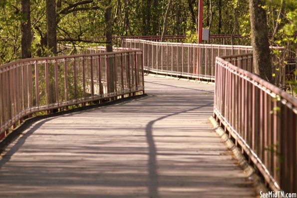 Murfree Springs: Pedestrian Boardwalk