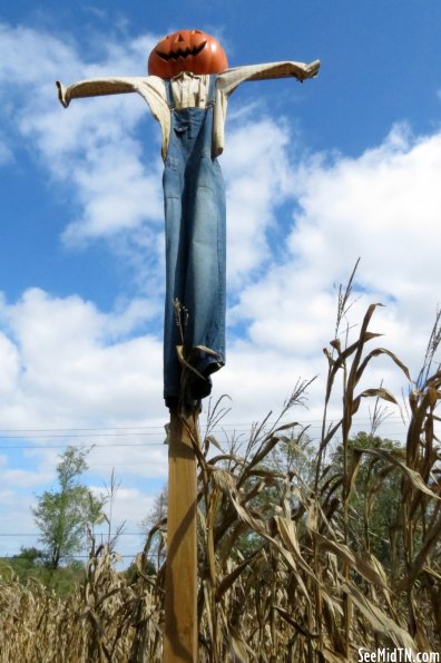 Lucky Ladd Scarecrow