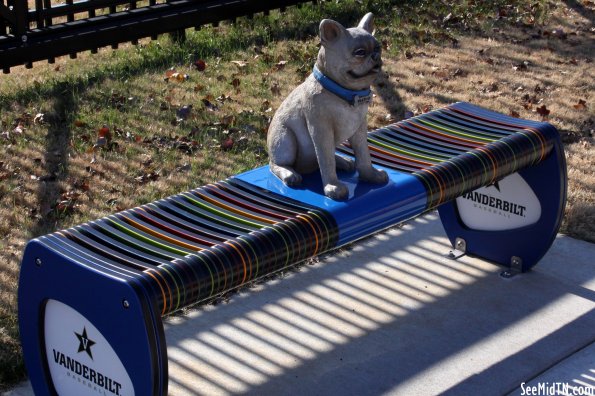 McKnight Park Vanderbilt Bulldog Bench