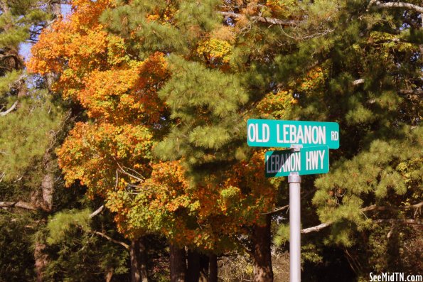 Old Lebanon Rd at Lebanon Hwy