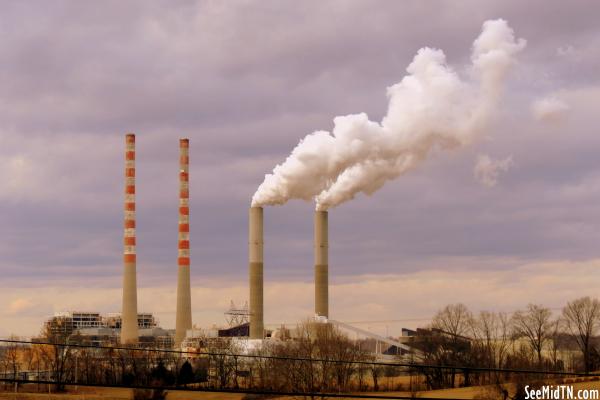 TVA Cumberland Power Plant