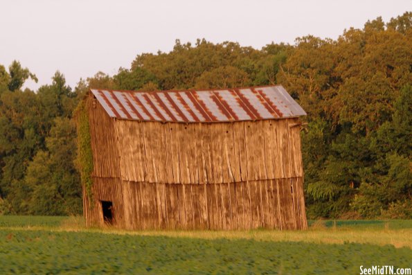 Old Barn along TN120