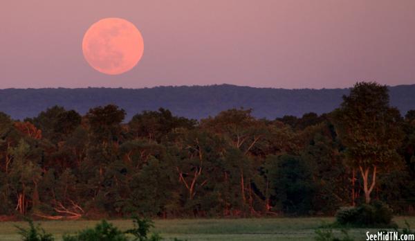 The Full Moon Rises over the Cumberland Plateau