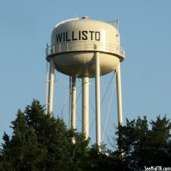 Williston