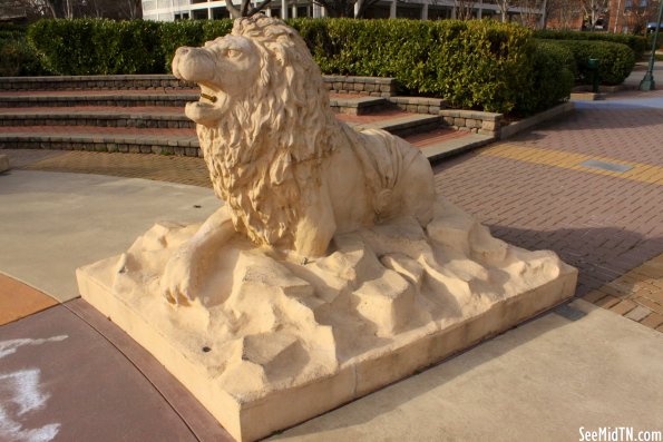 Fountain Lion