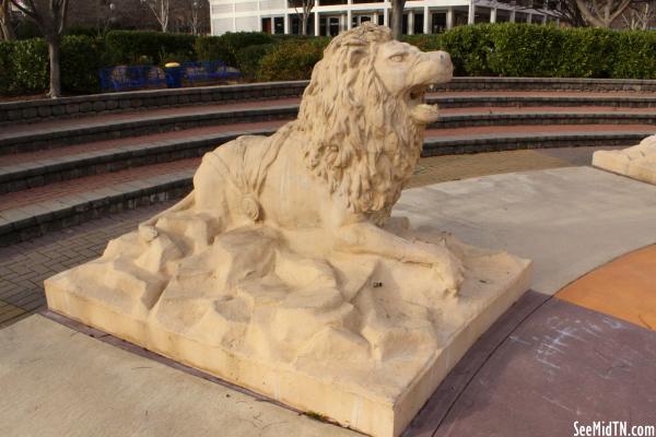 Fountain Lion