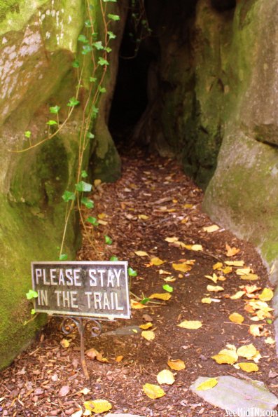 03: Please Stay in the Trail