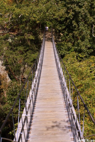 22: Swing-Along Bridge