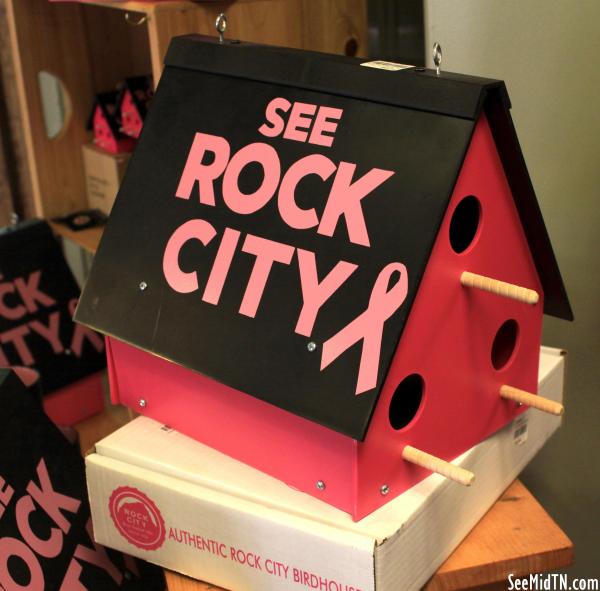 Gift Shop: Breast Cancer awareness Birdhouse