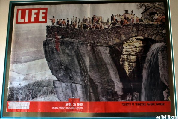 Life Magazine cover