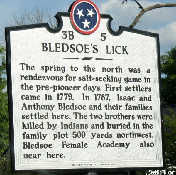 Sumner: Bledsoe's Lick