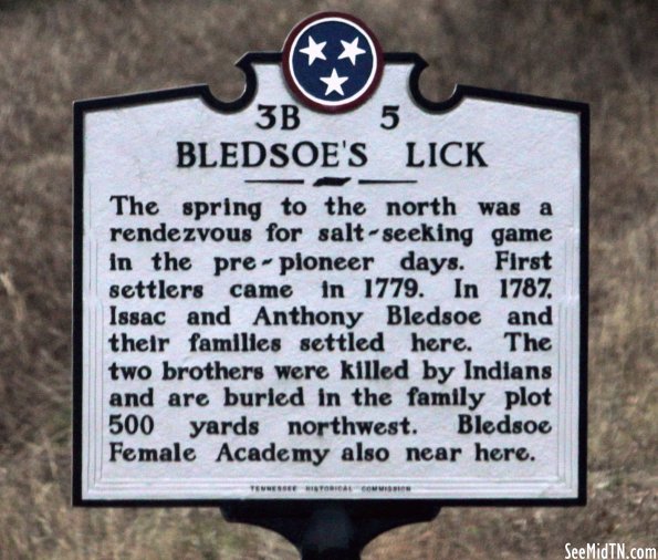 Sumner: Bledsoe's Lick