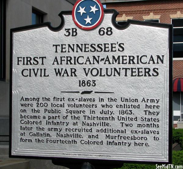 Sumner: Tennessee's First African-American Civil War Volunteers