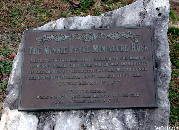 Hickman: The Minnie Pearl Miniature Rose