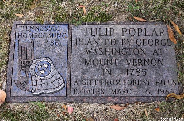 Putnam: Tulip Poplar Planted by George Washington