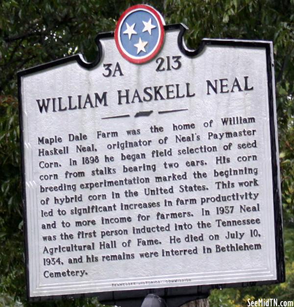 Wilson: William Haskell Neal