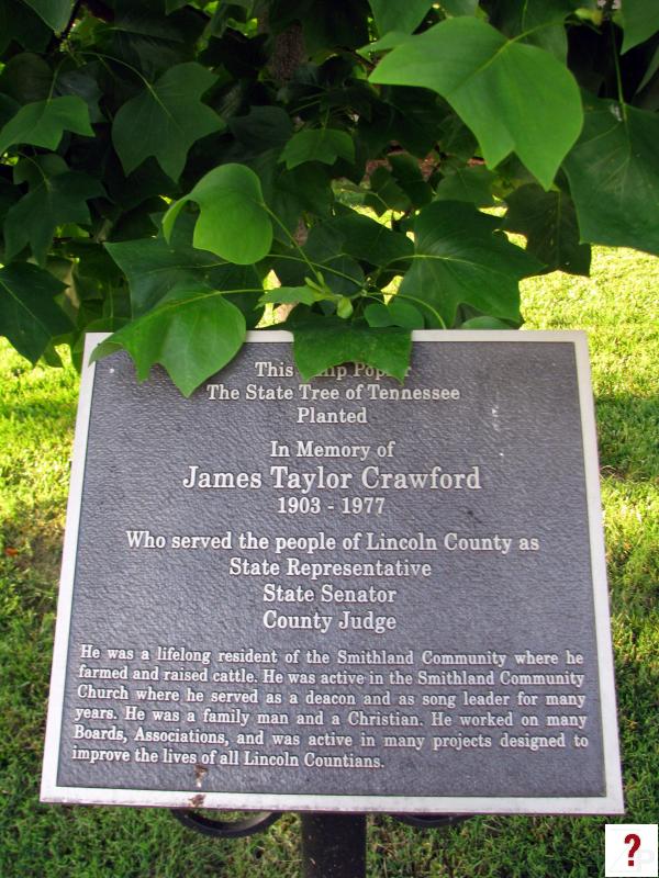 Lincoln: James Crawford Tree