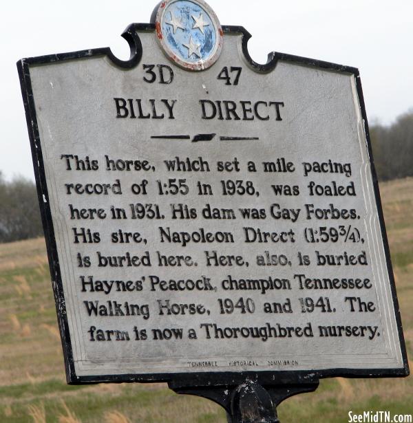 Maury: Billy Direct